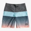 Quiksilver Everyday Panel 16" - Boardshort Pour Garçon 8-16 Ans