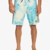 Quiksilver Highlite Arch 19" - Boardshort Pour Homme