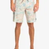 Quiksilver Surfsilk QS 69 19" - Boardshort Pour Homme