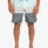 Quiksilver Surfsilk Tijuana 18" - Boardshort Pour Homme