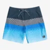 Quiksilver Surfsilk Panel 18" - Boardshort Pour Homme