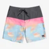 Quiksilver Surfsilk Panel 18" - Boardshort Pour Homme