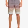 Quiksilver Surfsilk Massive 20" - Boardshort Pour Homme