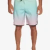 Quiksilver Everyday Scallop 19" - Boardshort Pour Homme