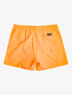 Quiksilver Everyday 15" - Short De Bain Pour Homme -Magasin De Sports De Surf eqyjv03531 quiksilverf nlq0 bck1