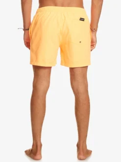 Quiksilver Everyday 15" - Short De Bain Pour Homme -Magasin De Sports De Surf eqyjv03531 quiksilverw nlq0 bck1