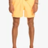 Quiksilver Everyday 15" - Short De Bain Pour Homme
