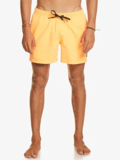 Quiksilver Everyday 15" - Short De Bain Pour Homme