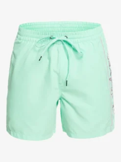 Quiksilver Everyday Vert 16" - Short De Bain Pour Homme -Magasin De Sports De Surf eqyjv03987 quiksilverv gcz0 frt1