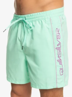 Quiksilver Everyday Vert 16" - Short De Bain Pour Homme -Magasin De Sports De Surf eqyjv03987 quiksilverw gcz0 frt3