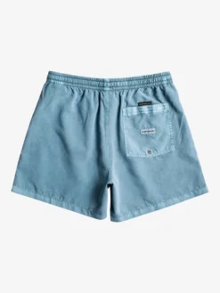 Quiksilver Everyday Surfwash 15" - Short De Bain Pour Homme -Magasin De Sports De Surf eqyjv03990 quiksilverf byg0 bck1