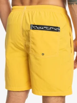 Quiksilver Saturn 18" Volleys -Magasin De Sports De Surf eqyjv03997 quiksilverw yjc0 bck2