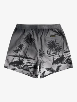 Quiksilver Everyday Paradise 15" - Short De Bain Pour Homme -Magasin De Sports De Surf eqyjv03999 quiksilverf kvj6 bck1