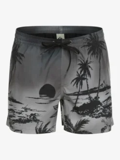 Quiksilver Everyday Paradise 15" - Short De Bain Pour Homme -Magasin De Sports De Surf eqyjv03999 quiksilverv kvj6 frt1