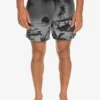 Quiksilver Everyday Paradise 15" - Short De Bain Pour Homme