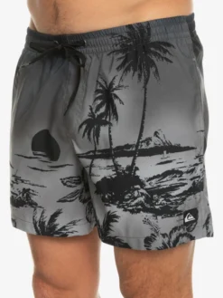 Quiksilver Everyday Paradise 15" - Short De Bain Pour Homme -Magasin De Sports De Surf eqyjv03999 quiksilverw kvj6 frt3
