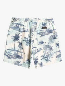 Quiksilver Everyday Mix 17" - Short De Bain Pour Homme -Magasin De Sports De Surf eqyjv04002 quiksilverf wdw6 bck1