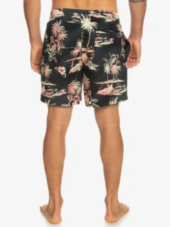 Quiksilver Everyday Mix 17" - Short De Bain Pour Homme -Magasin De Sports De Surf eqyjv04002 quiksilverw kvj6 bck1