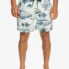 Quiksilver Everyday Mix 17" - Short De Bain Pour Homme