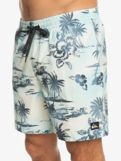 Quiksilver Everyday Mix 17" - Short De Bain Pour Homme -Magasin De Sports De Surf eqyjv04002 quiksilverw wdw6 frt3