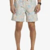 Quiksilver Re-Mix 17" - Short De Bain Pour Homme