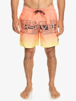 Quiksilver Everyday Wordblock 17" - Short De Bain Pour Homme