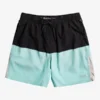 Quiksilver Omni 17" Training Shorts
